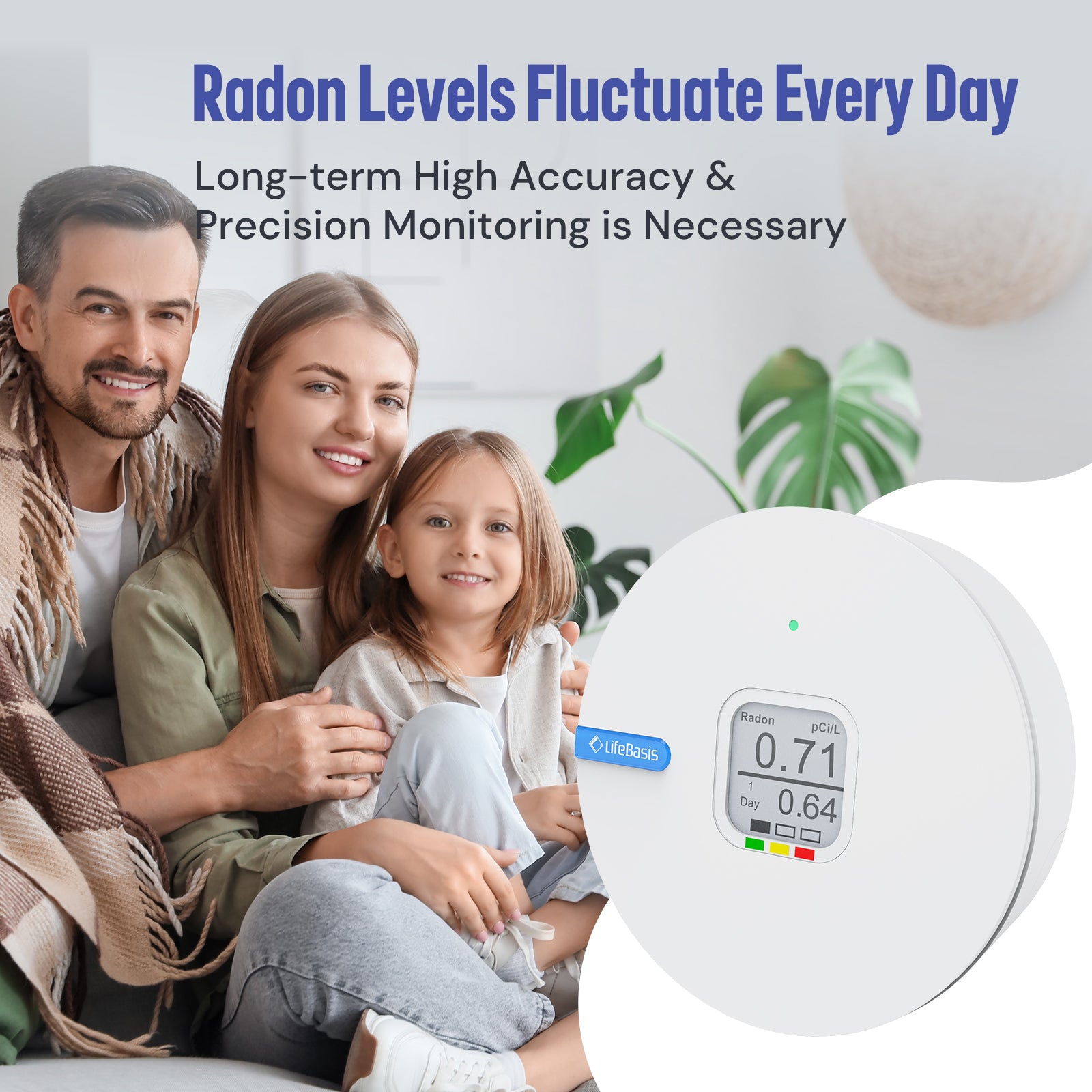 LifeBasis RN-300C Radon Detector
