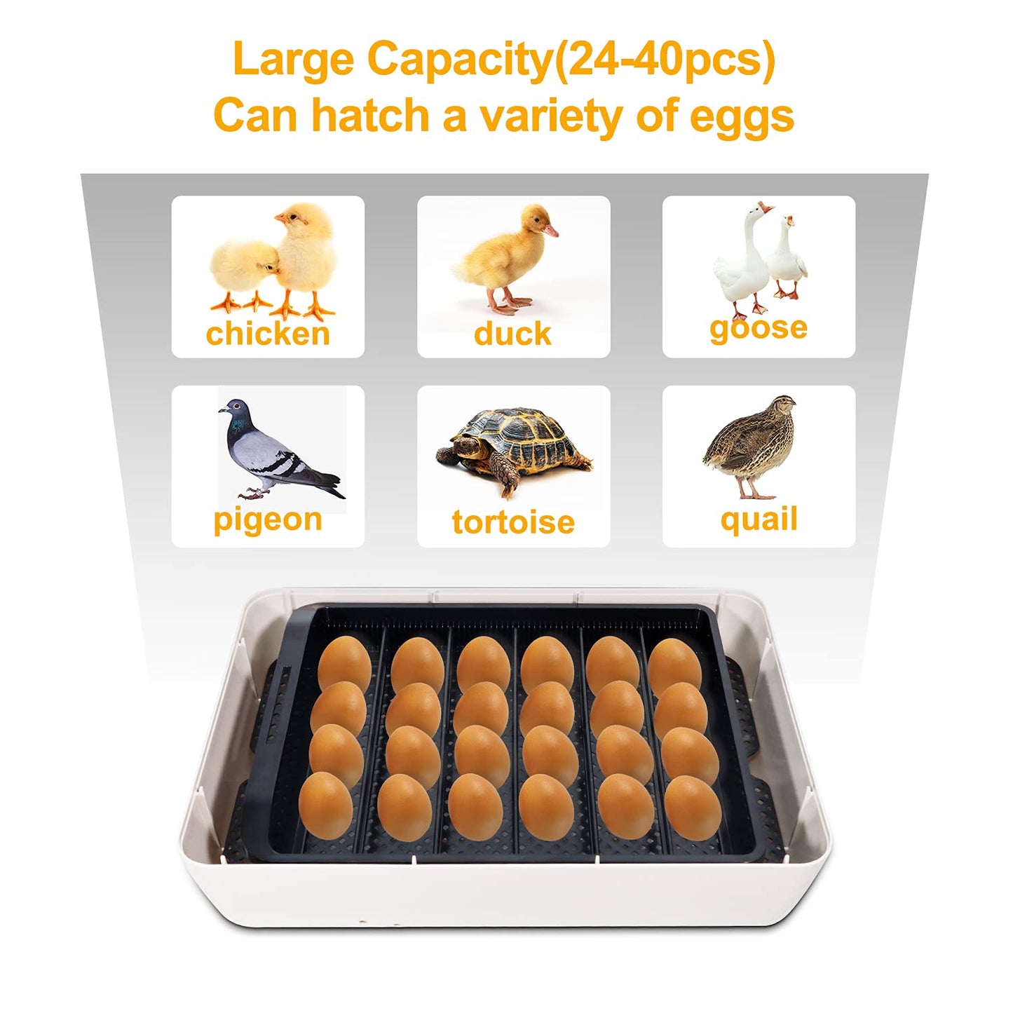 LifeBasis Automatic Egg Incubator