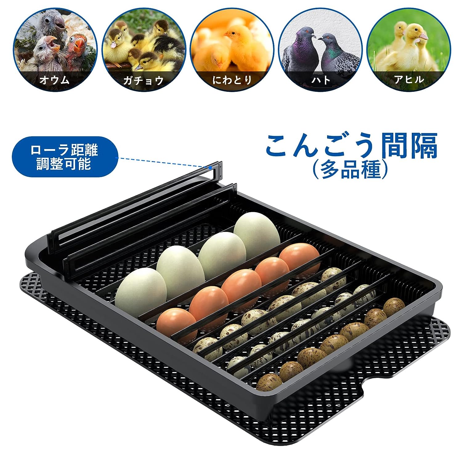 LifeBasis Automatic Egg Incubator