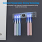 LifeBasis UV Toothbrush Sanitizer Pro