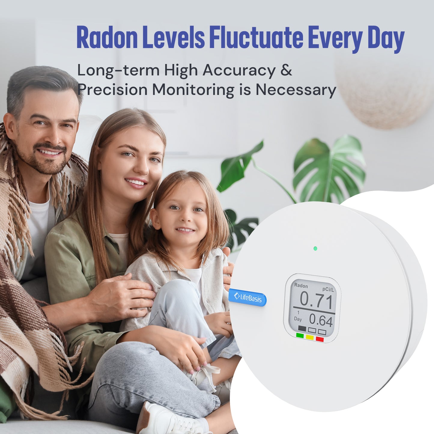 LifeBasis RN-300C Radon Detector 